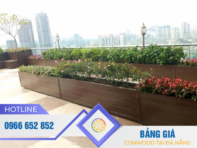 thanh-conwood-gia-go-12