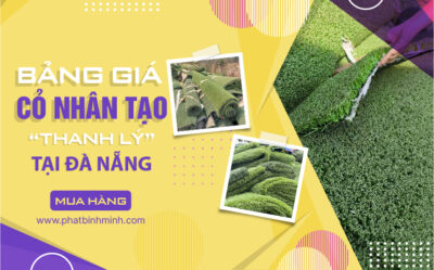 tham-co-thanh-ly-da-nang-01