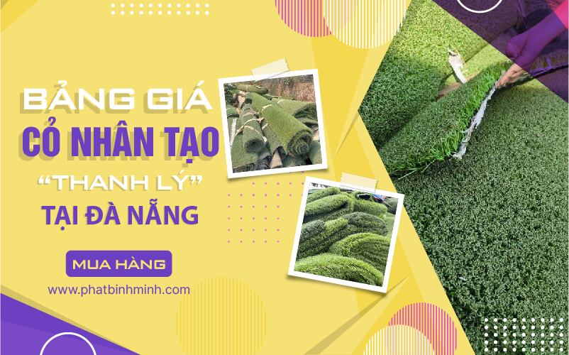 tham-co-thanh-ly-da-nang-01