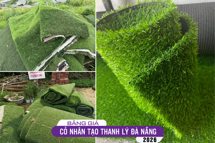 tham-co-thanh-ly-da-nang-02