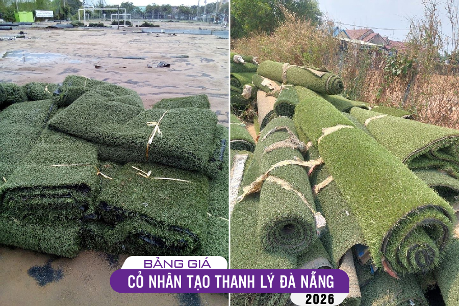 tham-co-thanh-ly-da-nang-03
