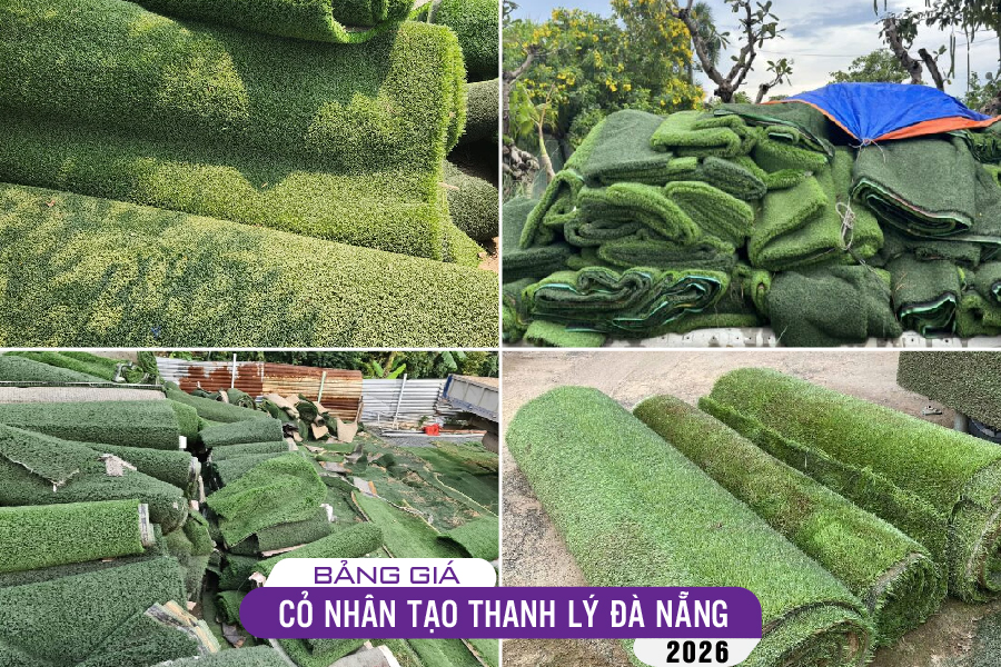 tham-co-thanh-ly-da-nang-03