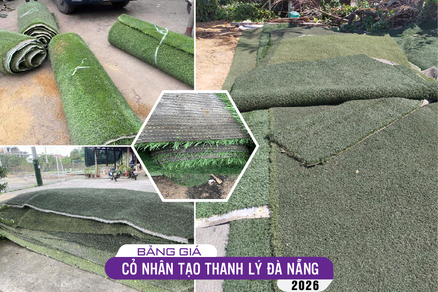 tham-co-thanh-ly-da-nang-06