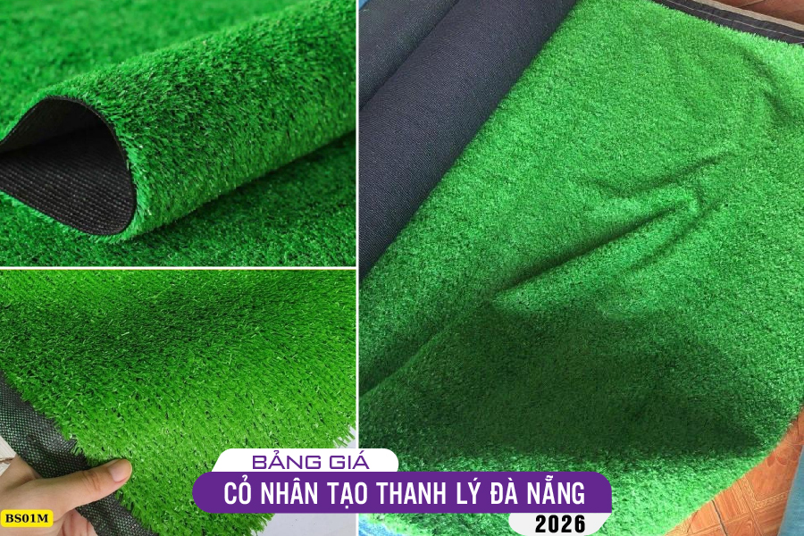 tham-co-thanh-ly-da-nang-07