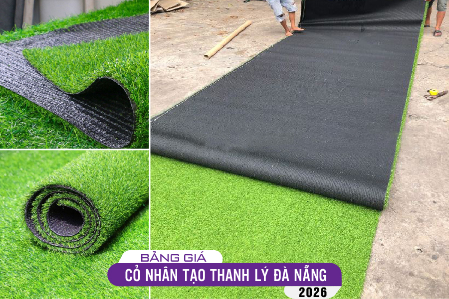 tham-co-thanh-ly-da-nang-08