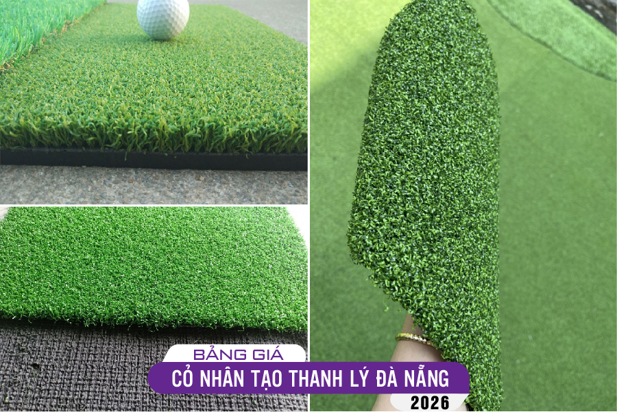 tham-co-thanh-ly-da-nang-09