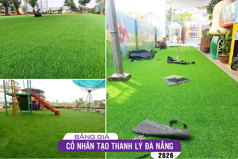 tham-co-thanh-ly-da-nang-11